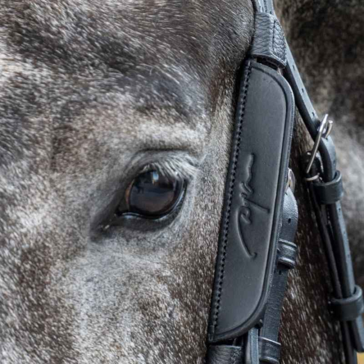 Fokus / Blinkers 2er-Pack Schwarz in der Gruppe Pferdezubehör & Pferdebedarf / Zaumzeug & Stirnriemen / Trensenzubehör bei Equinest (0523BBL_S_r)