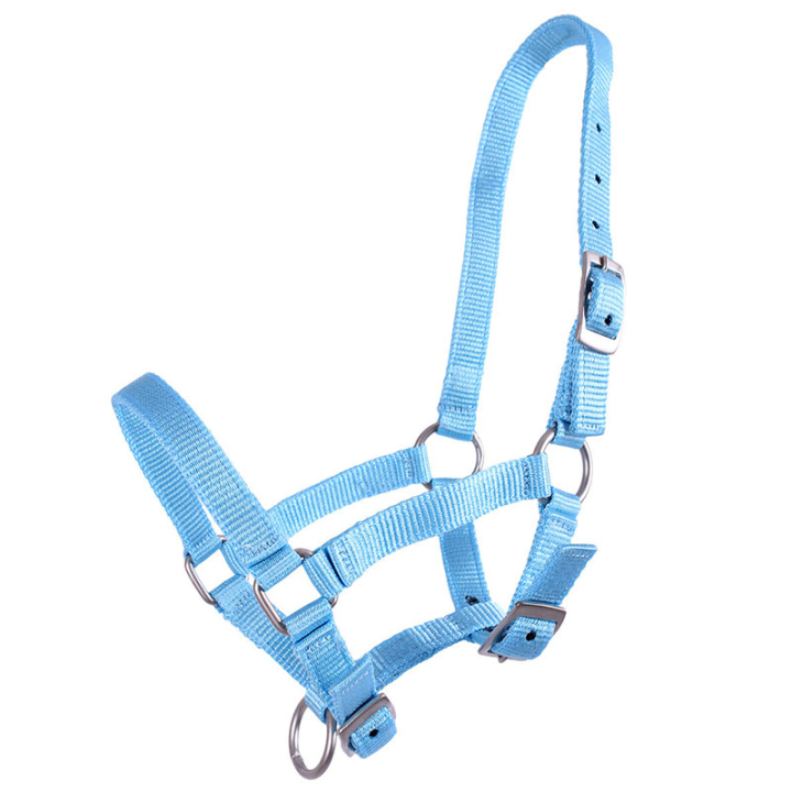 Fohlenhalfter Adjustable Hellblau in der Gruppe Pferdezubehör & Pferdebedarf / Halfter / Fohlenhalfter bei Equinest (1047BBV1LBL_r)
