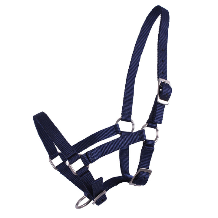Fohlenhalfter Adjustable Marineblau in der Gruppe Pferdezubehör & Pferdebedarf / Halfter / Fohlenhalfter bei Equinest (1047DBV1nan_r)