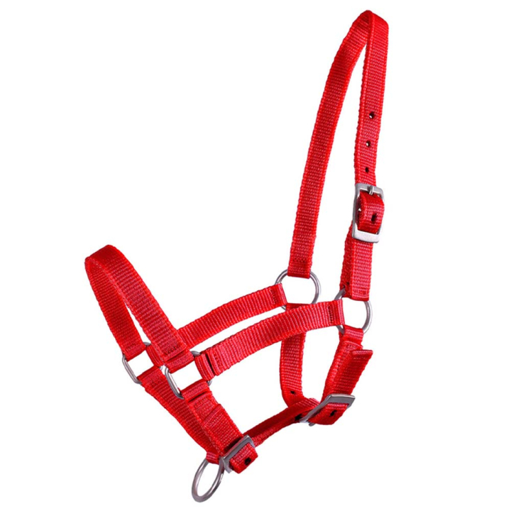 Fohlenhalfter Adjustable Rot in der Gruppe Pferdezubehör & Pferdebedarf / Halfter / Fohlenhalfter bei Equinest (1047ROV1RE_r)