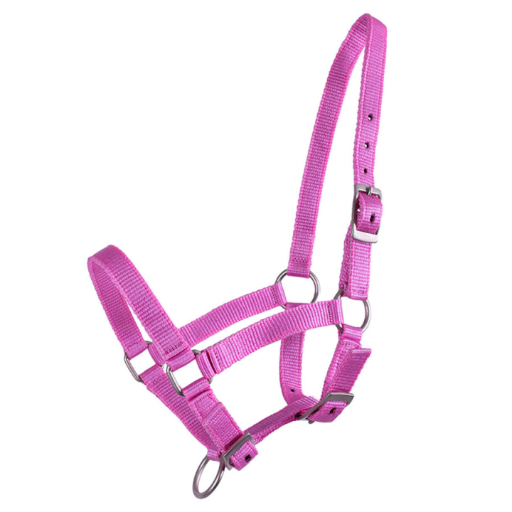 Fohlenhalfter Adjustable Rosa in der Gruppe Pferdezubehör & Pferdebedarf / Halfter / Fohlenhalfter bei Equinest (1047RZV1PI_r)