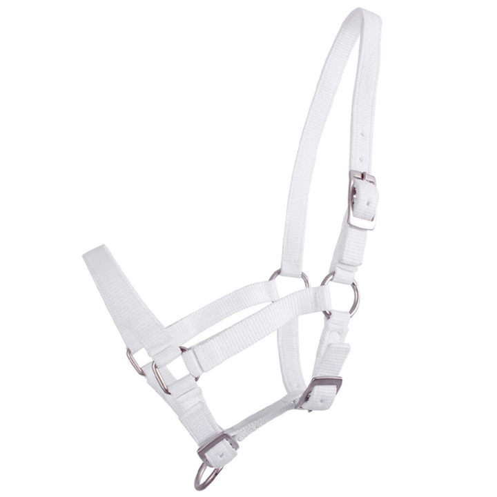 Fohlenhalfter Adjustable Weiß in der Gruppe Pferdezubehör & Pferdebedarf / Halfter / Fohlenhalfter bei Equinest (1047WIV1WH_r)