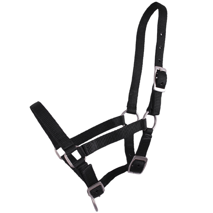 Fohlenhalfter Adjustable Schwarz in der Gruppe Pferdezubehör & Pferdebedarf / Halfter / Fohlenhalfter bei Equinest (1047ZWV1BA_r)