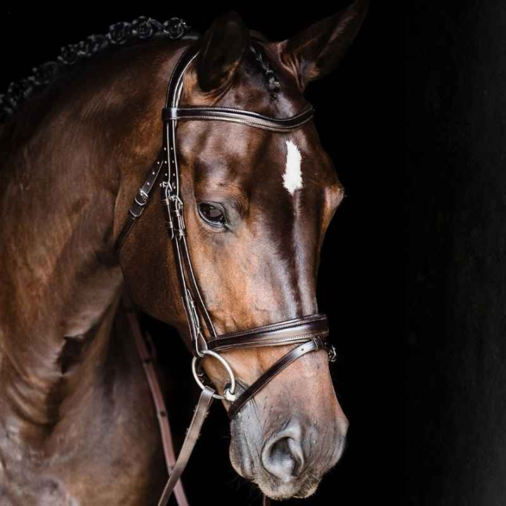Trense Monza Braun in der Gruppe Pferdezubehör & Pferdebedarf / Zaumzeug & Stirnriemen / Trensen bei Equinest (1100000813BR_r)