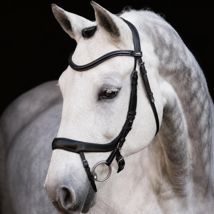 Trense Equitus Alpha Schwarz in der Gruppe Pferdezubehör & Pferdebedarf / Zaumzeug & Stirnriemen / Trensen bei Equinest (1101-00044Sv_r)