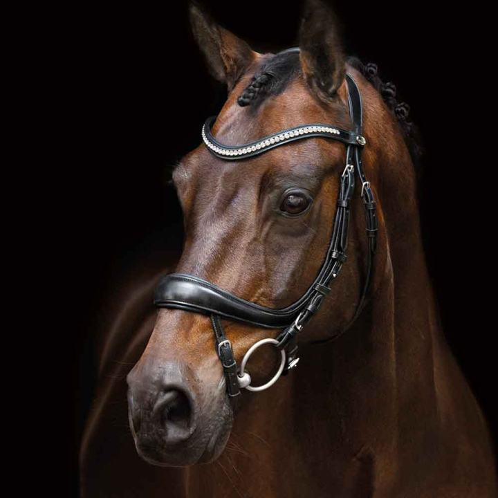 Trense Equitus Beta Schwarz in der Gruppe Pferdezubehör & Pferdebedarf / Zaumzeug & Stirnriemen / Trensen bei Equinest (1101-00045Sv_r)