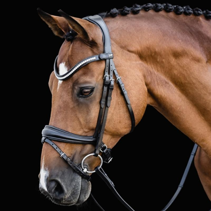 Dressurtrense Charleston Schwarz in der Gruppe Pferdezubehör & Pferdebedarf / Zaumzeug & Stirnriemen / Kandarenzaum & Dressurtrensen bei Equinest (1101000721BA_r)