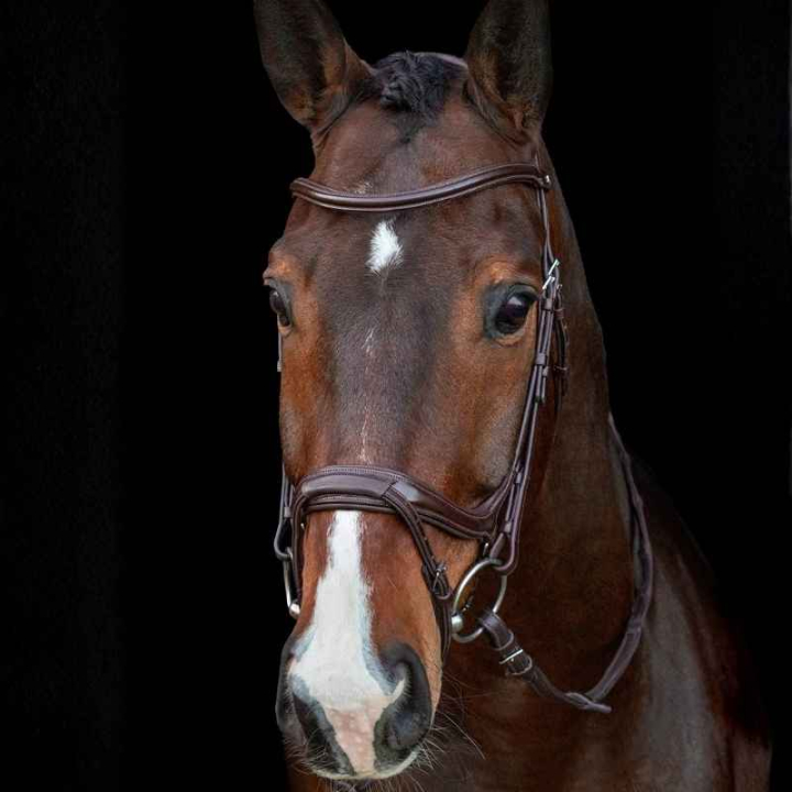 Trense Ancona Select Braun in der Gruppe Pferdezubehör & Pferdebedarf / Zaumzeug & Stirnriemen / Trensen bei Equinest (1101000733BR_r)
