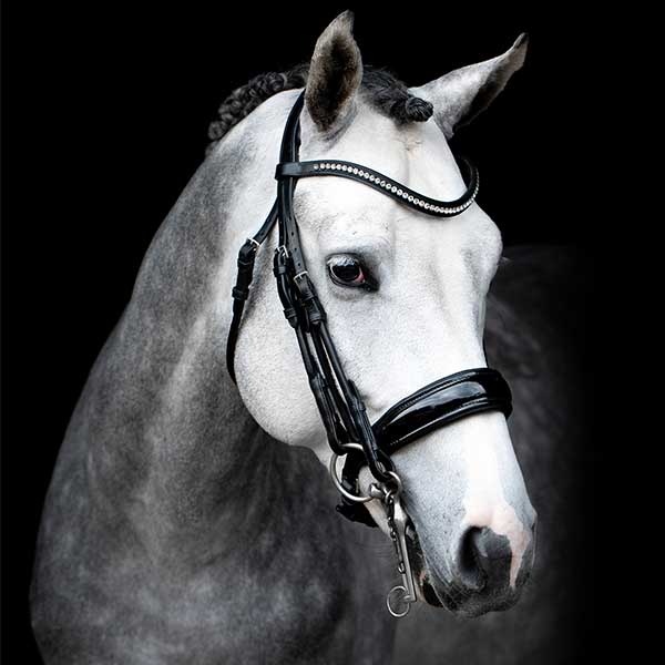 Kandarenzaum Venedig Schwarz/Lack in der Gruppe Pferdezubehör & Pferdebedarf / Zaumzeug & Stirnriemen / Kandarenzaum & Dressurtrensen bei Equinest (1111-00009SvL_r)