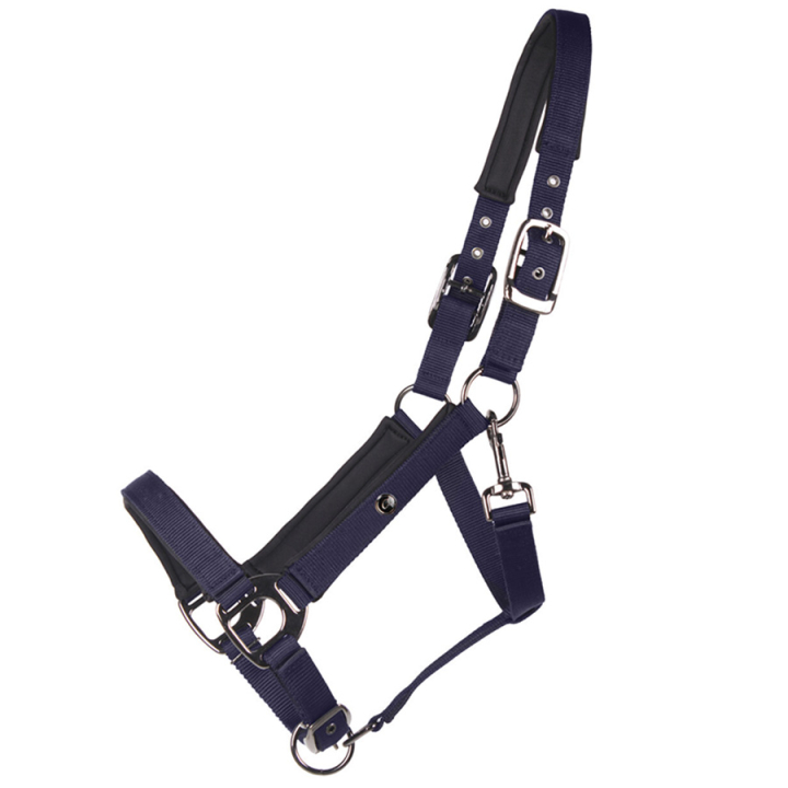 Halfter Deluxe Marineblau in der Gruppe Pferdezubehör & Pferdebedarf / Halfter / Stoff- & Nylonhalfter bei Equinest (1125NA3NA_r)