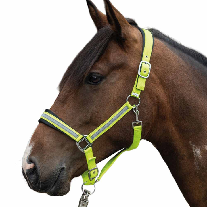 Halfter Reflektierend Gelb/Silber in der Gruppe Reitausrüstung / Reflexartikel bei Equinest (14191YE)