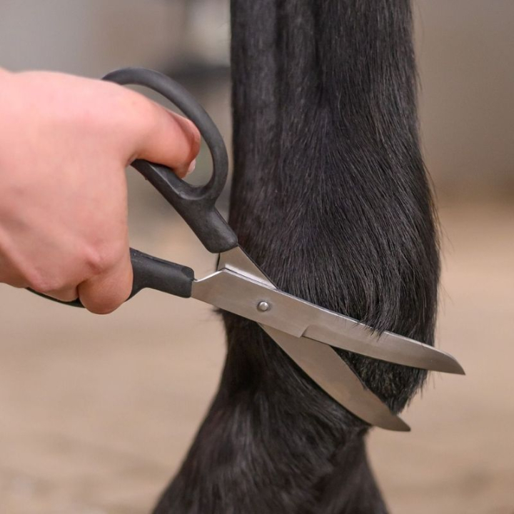 Schere Fetlock Shears Bend Schwarz in der Gruppe Pflegeprodukte / Pferdebürsten / Scheren & Verziehmesser bei Equinest (154200BA)
