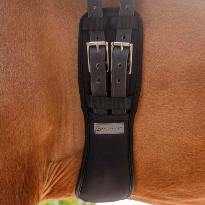 Dressurgurt Gel Schwarz in der Gruppe Pferdezubehör & Pferdebedarf / Sattelgurte / Kurzgurte bei Equinest (19047010BA_r)