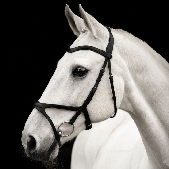 Trense Trense Arthur Schwarz in der Gruppe Pferdezubehör & Pferdebedarf / Zaumzeug & Stirnriemen / Trensen bei Equinest (201312Sv_r)