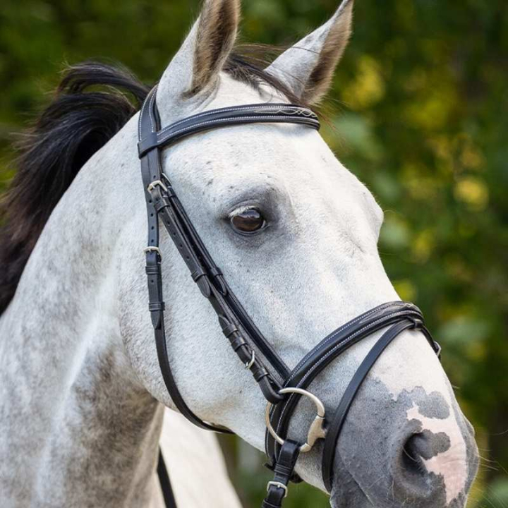 Anatomisches Trense Luxury Stitched Schwarz in der Gruppe Pferdezubehör & Pferdebedarf / Zaumzeug & Stirnriemen / Trensen bei Equinest (2021ZW1BA_r)