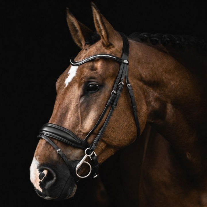 Dressurtrense Integro Schwarz in der Gruppe Pferdezubehör & Pferdebedarf / Zaumzeug & Stirnriemen / Kandarenzaum & Dressurtrensen bei Equinest (208613Sv_r)