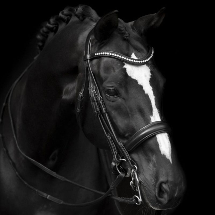 Kandarenzaum Delicato Supreme Schwarz in der Gruppe Pferdezubehör & Pferdebedarf / Zaumzeug & Stirnriemen / Kandarenzaum & Dressurtrensen bei Equinest (208813BA_r)