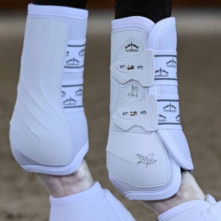 Dressurgamaschen Absolute Front Elastic Weiß in der Gruppe Pferdezubehör & Pferdebedarf / Beinschutz & Hufschutz  / Arbeitsgamaschen & Dressurgamaschen bei Equinest (21020190Vi_r)