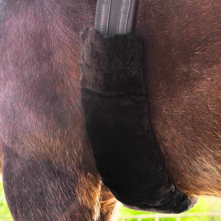 Sattelgurtschoner Lambskin Schwarz in der Gruppe Pferdezubehör & Pferdebedarf / Sattelgurte / Gurtschoner bei Equinest (21443001BA)