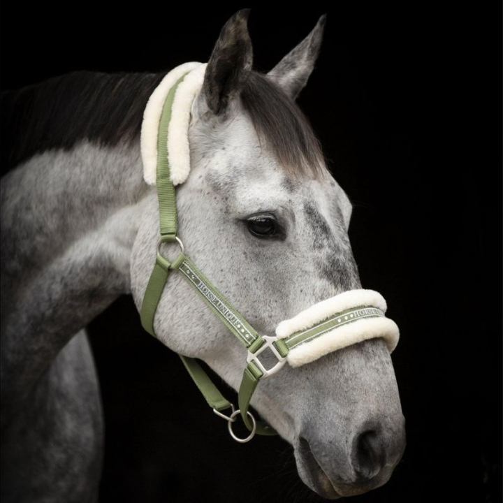 Halfter mit Kunstfellfutter  Olivgrün/Natur in der Gruppe Pferdezubehör & Pferdebedarf / Halfter / Stoff- & Nylonhalfter bei Equinest (243012Gn_r)