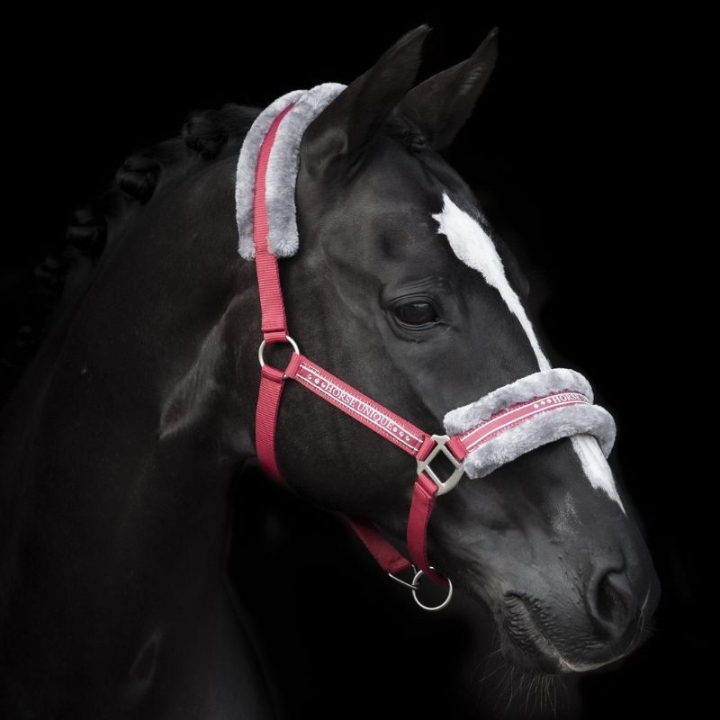 Halfter mit Fleece Rot/Grau in der Gruppe Pferdezubehör & Pferdebedarf / Halfter / Stoff- & Nylonhalfter bei Equinest (243082REGR_r)