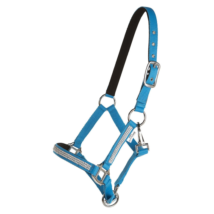 Halfter Mini Strass Blau in der Gruppe Pferdezubehör & Pferdebedarf / Halfter bei Equinest (243420BL_r)