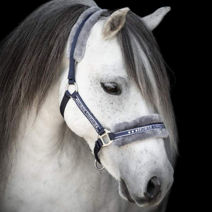 Halfter mit Fleece Marineblau/Grau in der Gruppe Pferdezubehör & Pferdebedarf / Halfter / Stoff- & Nylonhalfter bei Equinest (243720NAGR_r)