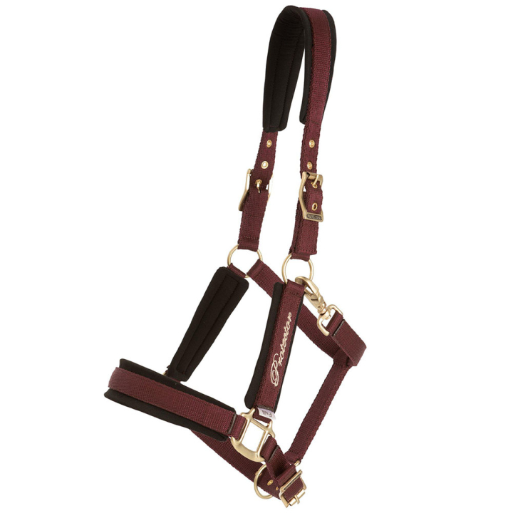 Halfter Comfort Bordeaux in der Gruppe Pferdezubehör & Pferdebedarf / Halfter bei Equinest (244342WN_r)