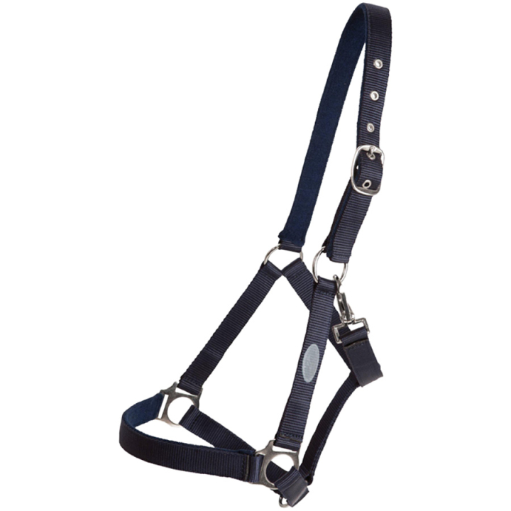 Halfter Basic Marineblau in der Gruppe Pferdezubehör & Pferdebedarf / Halfter / Stoff- & Nylonhalfter bei Equinest (244922NA_r)