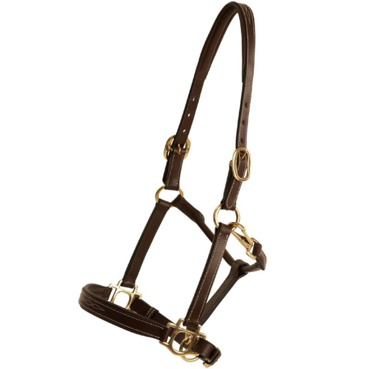 Lederhalfter Fancy Braun in der Gruppe Pferdezubehör & Pferdebedarf / Halfter / Lederhalfter bei Equinest (245052BR_r)