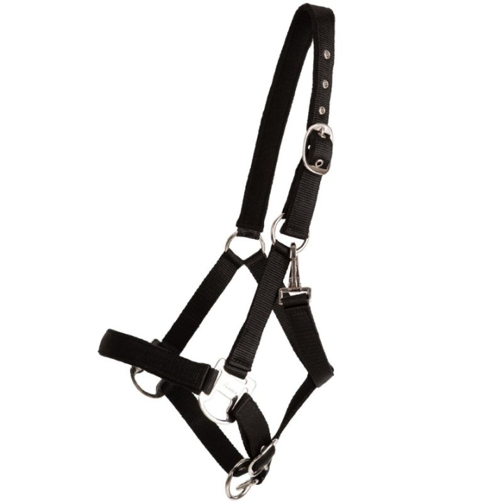 Halfter Double Buckle Schwarz in der Gruppe Pferdezubehör & Pferdebedarf / Halfter / Stoff- & Nylonhalfter bei Equinest (246212BA_r)