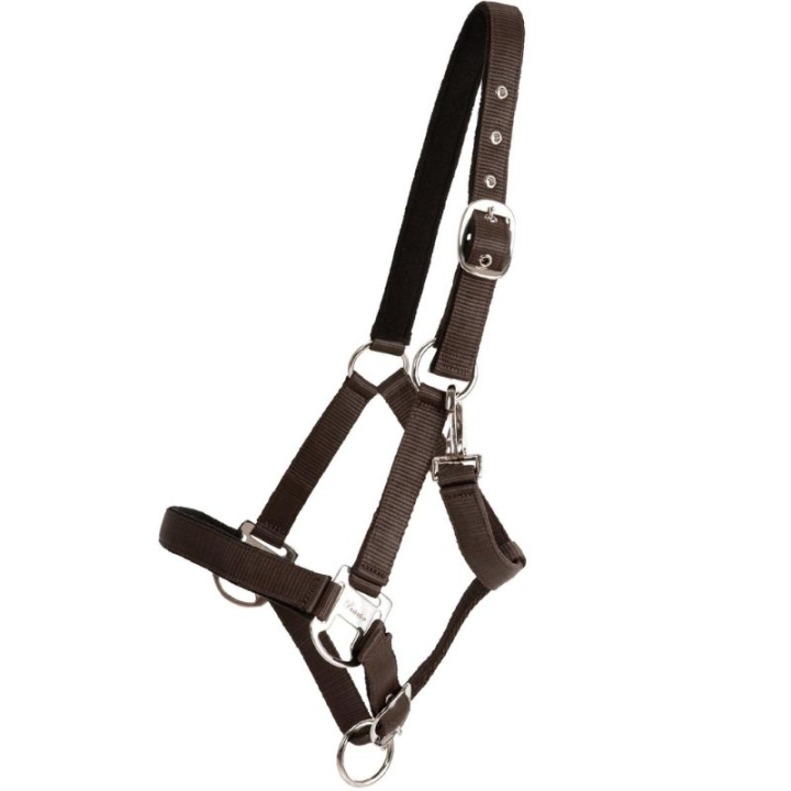 Halfter Double Buckle Braun in der Gruppe Pferdezubehör & Pferdebedarf / Halfter / Stoff- & Nylonhalfter bei Equinest (246252BR_r)