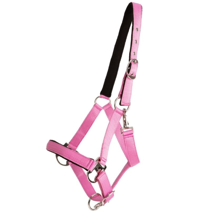 Halfter Double Buckle Rosa in der Gruppe Pferdezubehör & Pferdebedarf / Halfter / Stoff- & Nylonhalfter bei Equinest (246262PI_r)