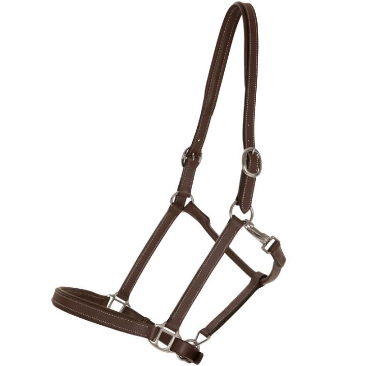 Lederhalfter Slim Basic Braun in der Gruppe Pferdezubehör & Pferdebedarf / Halfter / Lederhalfter bei Equinest (246562BR_r)