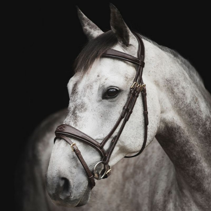 Trense Supreme Fancy Dunkelbraun in der Gruppe Pferdezubehör & Pferdebedarf / Zaumzeug & Stirnriemen / Trensen bei Equinest (260413BR)