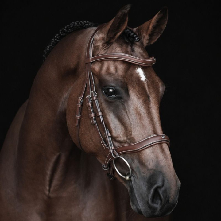 Anatomisches Trensenzaum Eccelente Braun in der Gruppe Pferdezubehör & Pferdebedarf / Zaumzeug & Stirnriemen / Trensen bei Equinest (260653BR_r)
