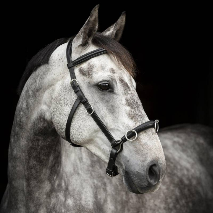 Kappzaum Supreme Schwarz in der Gruppe Pferdezubehör & Pferdebedarf / Longieren & Bodenarbeit bei Equinest (280613BA_r)