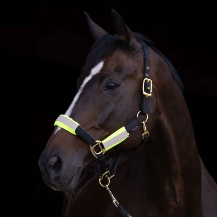 Reflektorset für Halfter/Trense 3-pack Gelb in der Gruppe Reitausrüstung / Reflexartikel bei Equinest (3228170NOR)