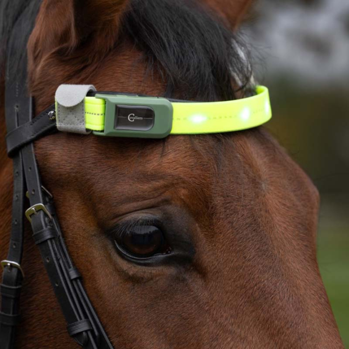 Hoofdband High-Visibility LED Gelb in der Gruppe Reitausrüstung / Reflexartikel bei Equinest (3230420YE)