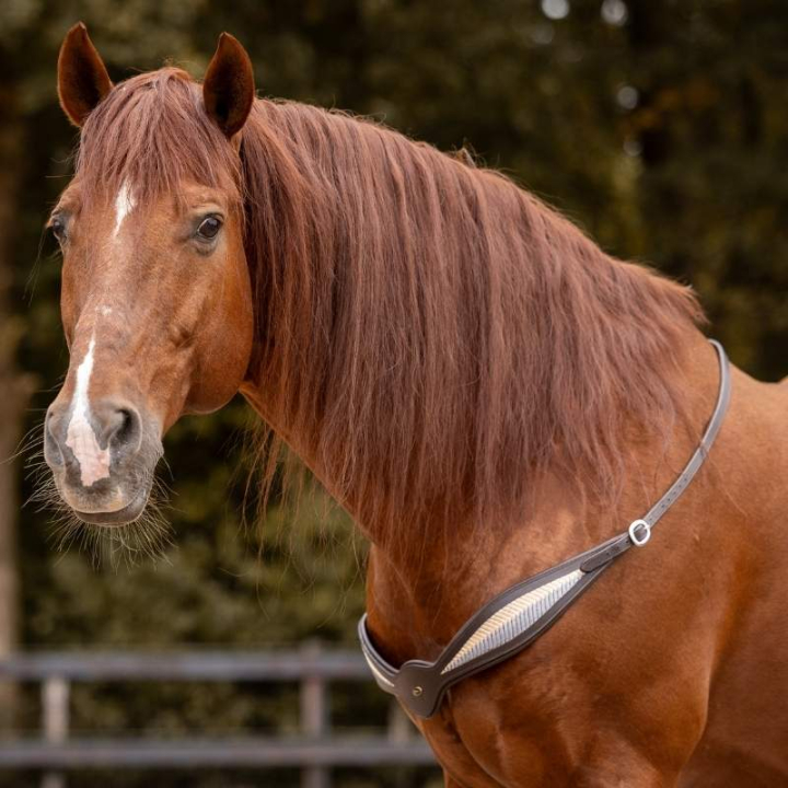 Halsring Leder Whisper NH Braun in der Gruppe Pferdezubehör & Pferdebedarf / Halsringe bei Equinest (3310702418BR)