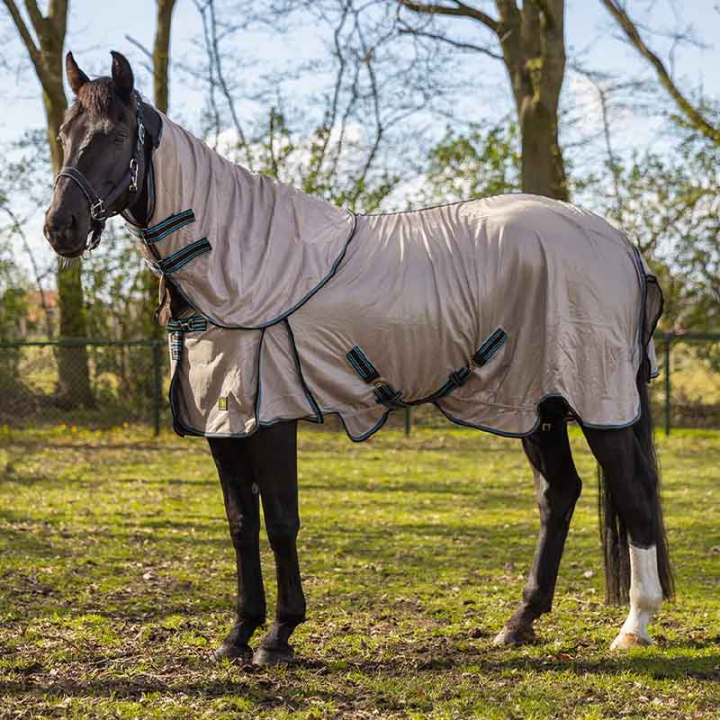 Fliegendecke Combo Classic Beige in der Gruppe Fliegenschutz / Fliegendecken bei Equinest (372169N0BE_r)
