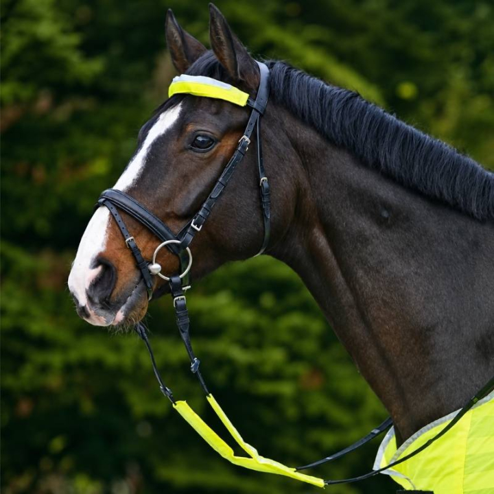 Reflektoren für Trense Set 3-pack Gelb in der Gruppe Reitausrüstung / Reflexartikel bei Equinest (380500YE)