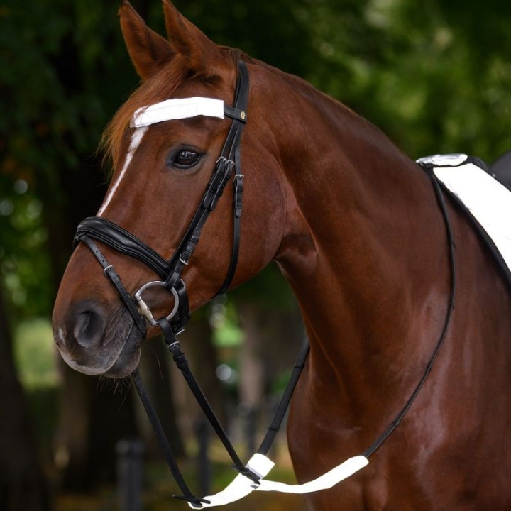 Reflektoren für Trense Set 3-pack Silber in der Gruppe Reitausrüstung / Reflexartikel bei Equinest (380511SI)