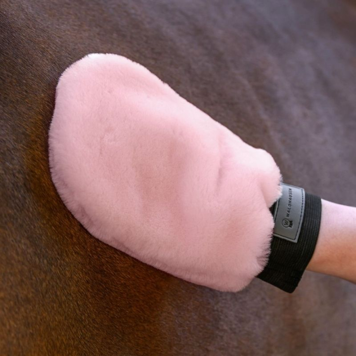 Putzhandschuh Lucky Lambskin Rosa in der Gruppe Pflegeprodukte / Pferdebürsten / Putzhandschuhe bei Equinest (3835732PI)