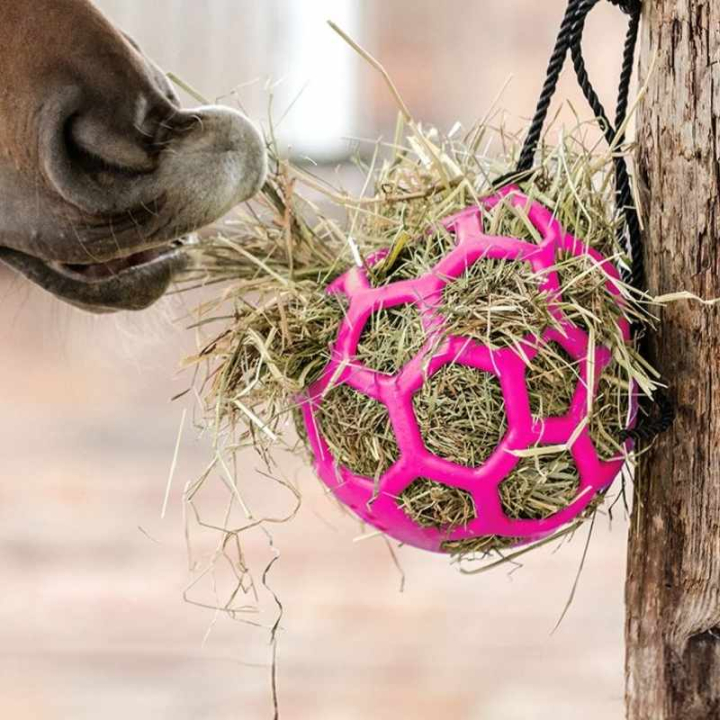 Heuball Flexible Rosa in der Gruppe Stall & Weide / Pferdespielzeug bei Equinest (387131PI)