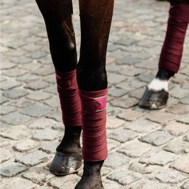 Polar Fleecebandagen 4er-Pack Bordeaux in der Gruppe Pferdezubehör & Pferdebedarf / Beinschutz & Hufschutz  / Bandagen bei Equinest (42111BO)