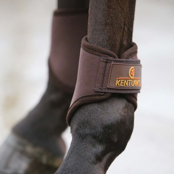Gamaschen 3D Spacer Hind Short Braun in der Gruppe Pferdezubehör & Pferdebedarf / Beinschutz & Hufschutz  / Arbeitsgamaschen & Dressurgamaschen bei Equinest (4230705FBR_r)