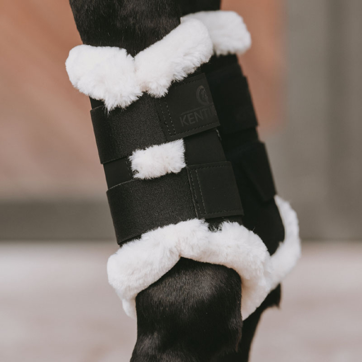 Arbeitsgamaschen Air Schwarz in der Gruppe Pferdezubehör & Pferdebedarf / Beinschutz & Hufschutz  / Arbeitsgamaschen & Dressurgamaschen bei Equinest (42309Sv_r)