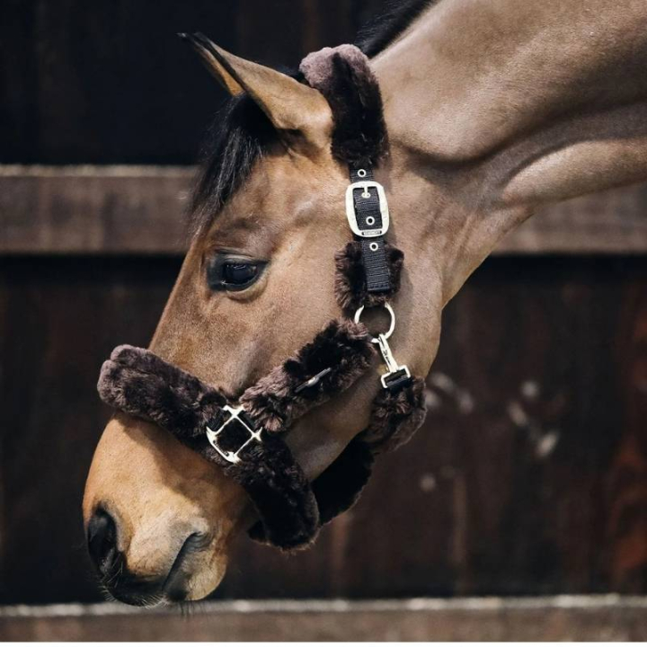 Transporthalfter aus Schaffell Braun in der Gruppe Pferdezubehör & Pferdebedarf / Halfter / Stoff- & Nylonhalfter bei Equinest (42502Br_r)