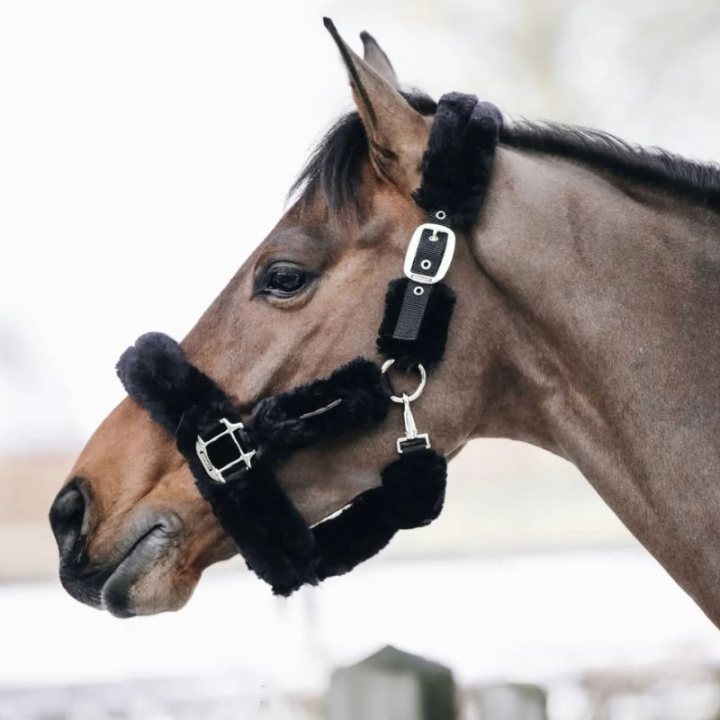 Transporthalfter aus Schaffell Schwarz in der Gruppe Pferdezubehör & Pferdebedarf / Halfter / Stoff- & Nylonhalfter bei Equinest (42502Sv_r)
